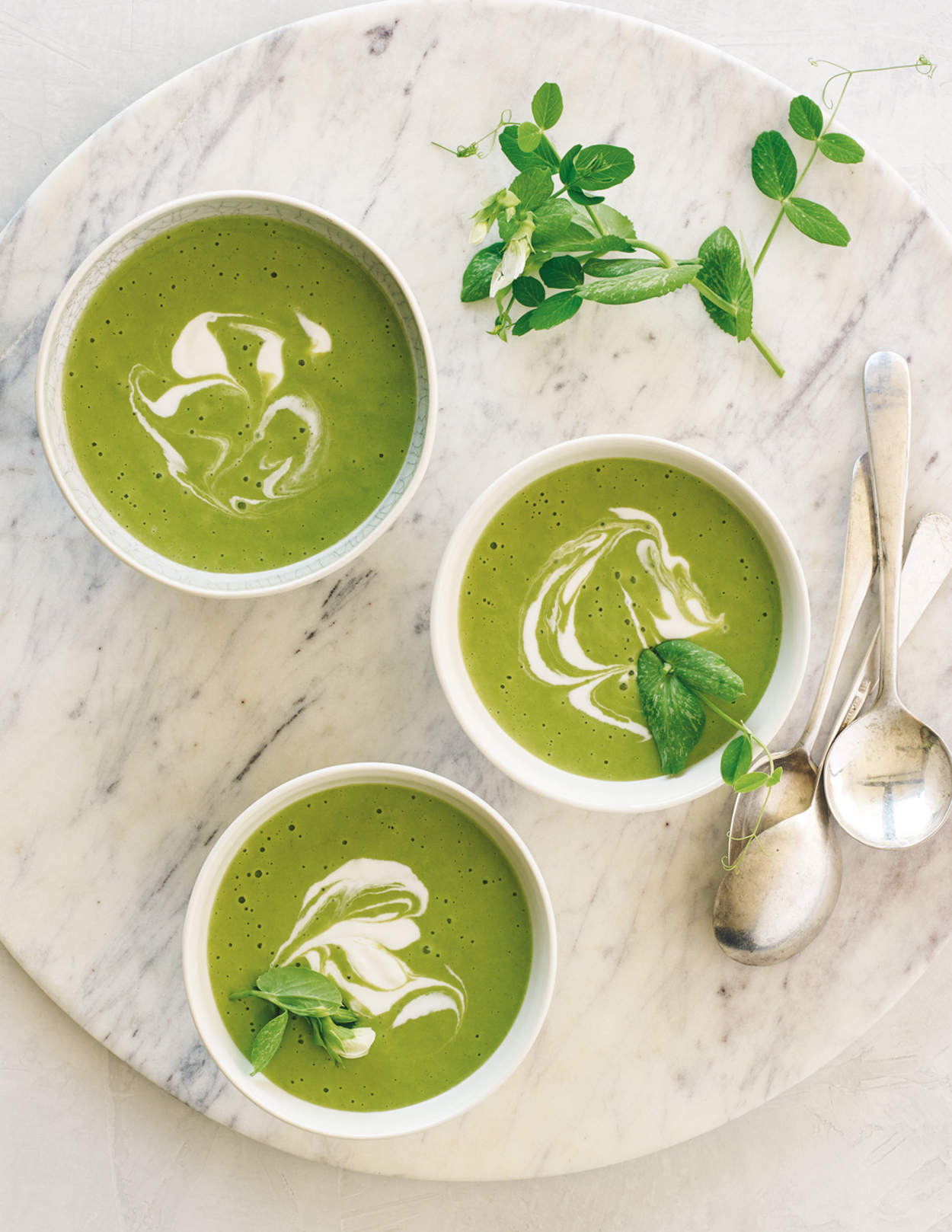 Los Angeles Food photographer - Cooking in Season  Cookbook Pea Soup  by Ray Kachatorian
