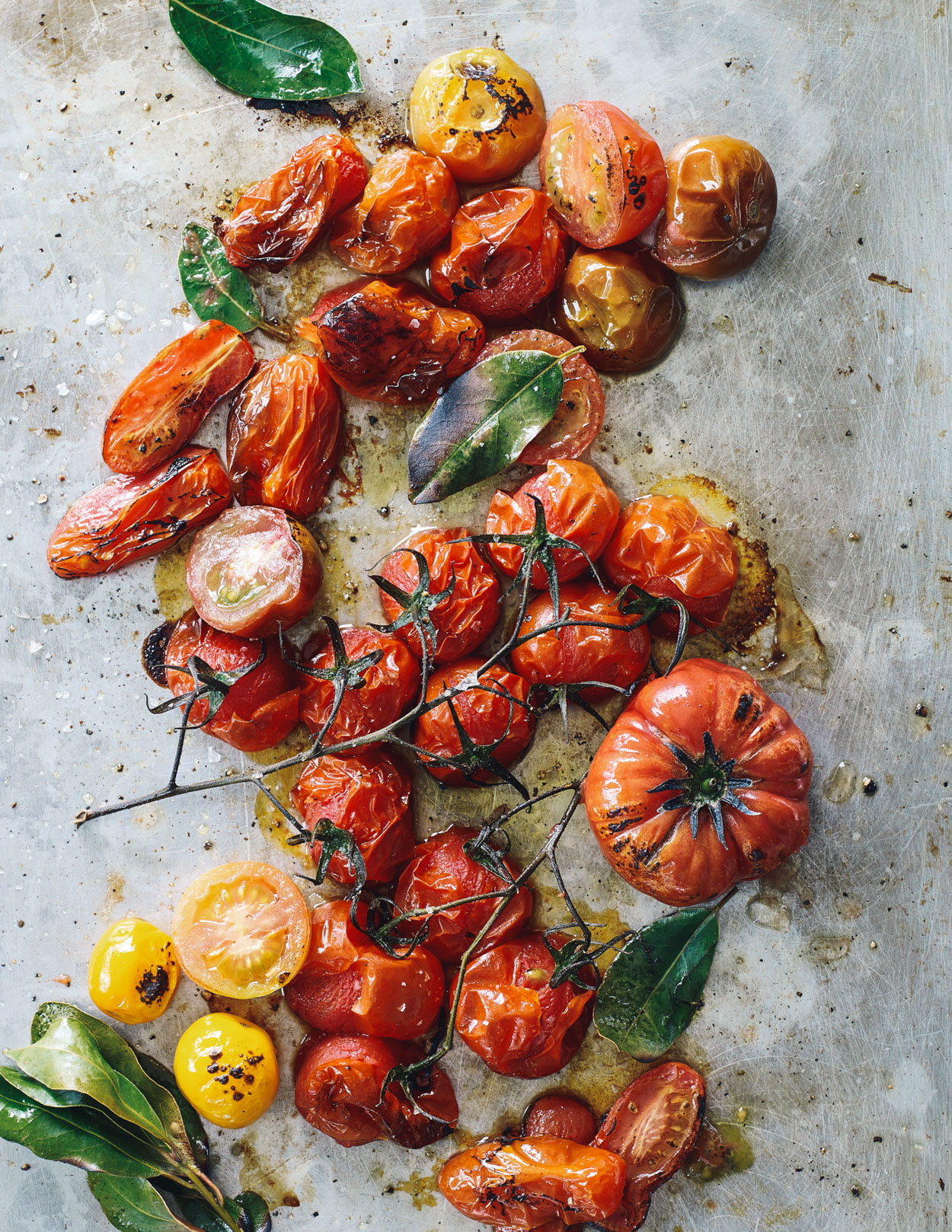 Los Angeles Food photographer - Cooking in Season  Cookbook tomatoes  by Ray Kachatorian